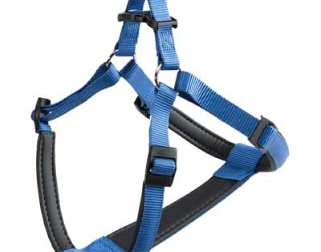 PETTORINA PER CANI 'DAYTONA P' Large - blu