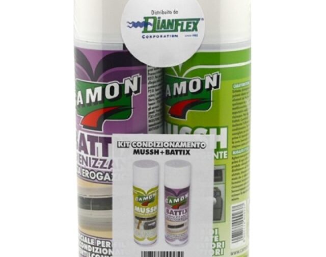 KIT CONDIZIONAMENTO MUSSH + BATTIX 500 ml