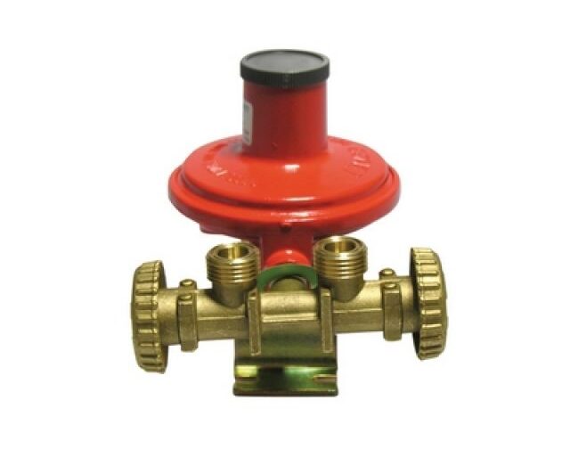 MINI CENTRALINA CON REGOLATORE 2205 SENZA MANICHETTE Kg./ h 10