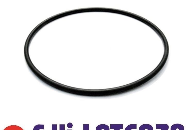 ATLAS O-RING DI RICAMBIO PER DOSATORE PROPORZIONALE IN POLVERE DOSAPLUS