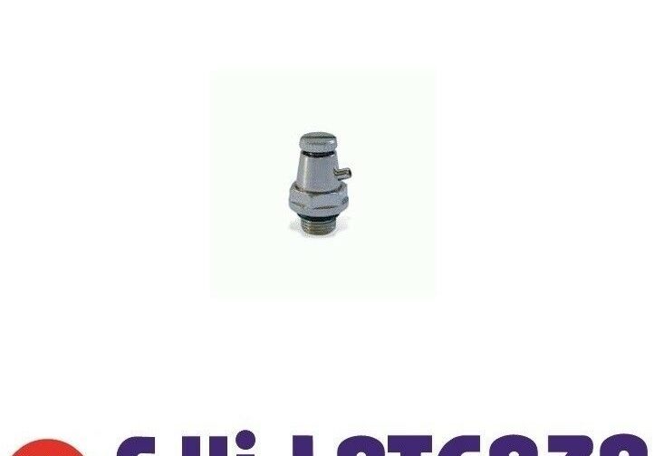 WATTS VALVOLINA SFOGO ARIA RADIATORI 1/4" VALVOLINO CROMATO SFIATO RADIATORE