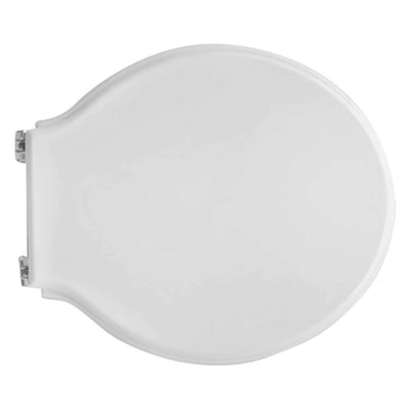 Dianhydro Copriwater Coprivaso Sedile WC x Pozzi GINORI Vaso Monte Bianco Cerniere C ESP