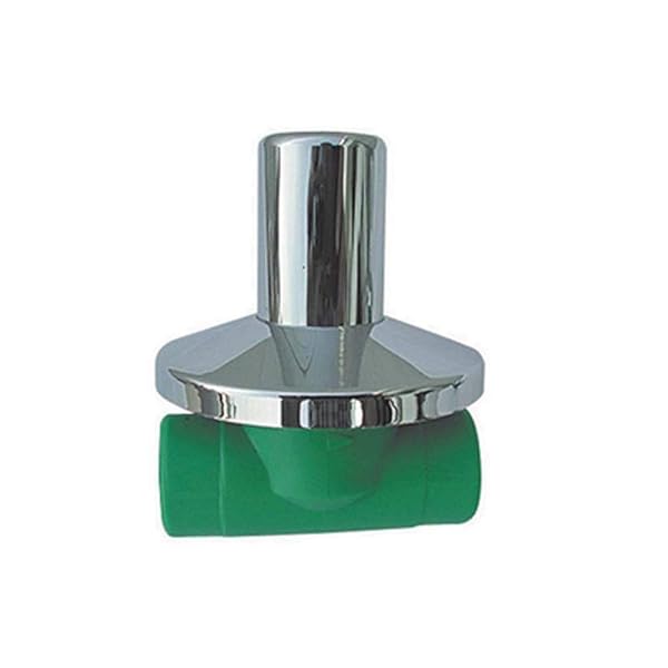 Dianhydro VALVOLA VITONE CON TAPPO E ROSONE - Diam. 20