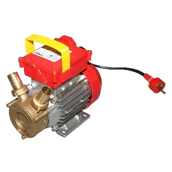 POMPA DA TRAVASO ROVER Hp 0,8-550 W - Raccordo 25